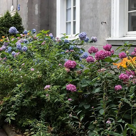 Stara 7, Old Town/250 M From Barbican Hotel