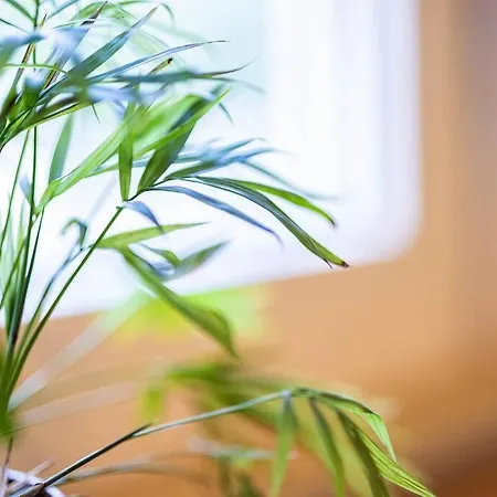 Stara 7, Old Town/250 M From Barbican * Warschau